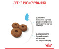 Royal Canin Maxi Starter корм для цуценят великих порід до 2-місячного віку - 4 кг