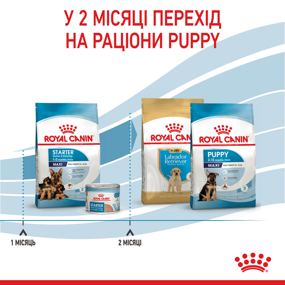 Royal Canin Maxi Starter корм для цуценят великих порід до 2-місячного віку - 4 кг