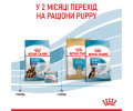 Royal Canin Maxi Starter корм для цуценят великих порід до 2-місячного віку - 4 кг