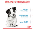 Royal Canin Mini Puppy корм для цуценят малих порід від 2 до 10 місяців - 800 г