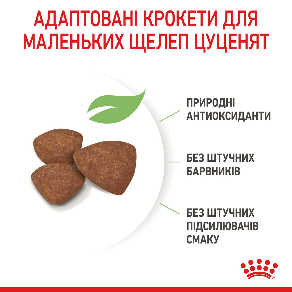 Royal Canin Mini Puppy корм для цуценят малих порід від 2 до 10 місяців - 800 г