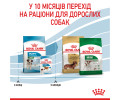 Royal Canin Mini Puppy корм для цуценят малих порід від 2 до 10 місяців - 800 г