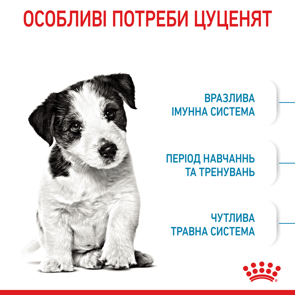 Royal Canin Mini Puppy корм для цуценят малих порід від 2 до 10 місяців - 2 кг