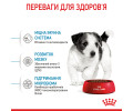 Royal Canin Mini Puppy корм для цуценят малих порід від 2 до 10 місяців - 8 кг
