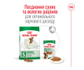 Royal Canin Mini Adult корм для собак малих порід - 800 г