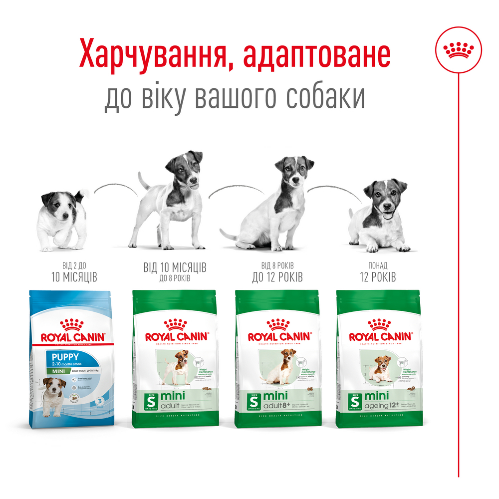 Royal Canin Mini Adult корм для собак малих порід - 800 г