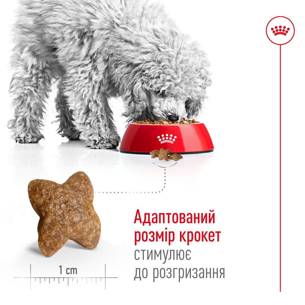 Royal Canin Mini Adult корм для собак малих порід - 800 г