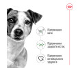 Royal Canin Mini Adult корм для собак малих порід - 800 г