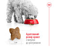 Royal Canin Mini Adult корм для собак малих порід - 2 кг