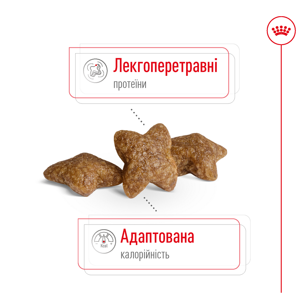 Royal Canin Mini Adult корм для собак малих порід - 4 кг