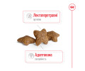 Royal Canin Mini Adult корм для собак малих порід - 4 кг