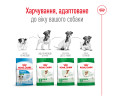 Royal Canin Mini Adult корм для собак малих порід - 8 кг