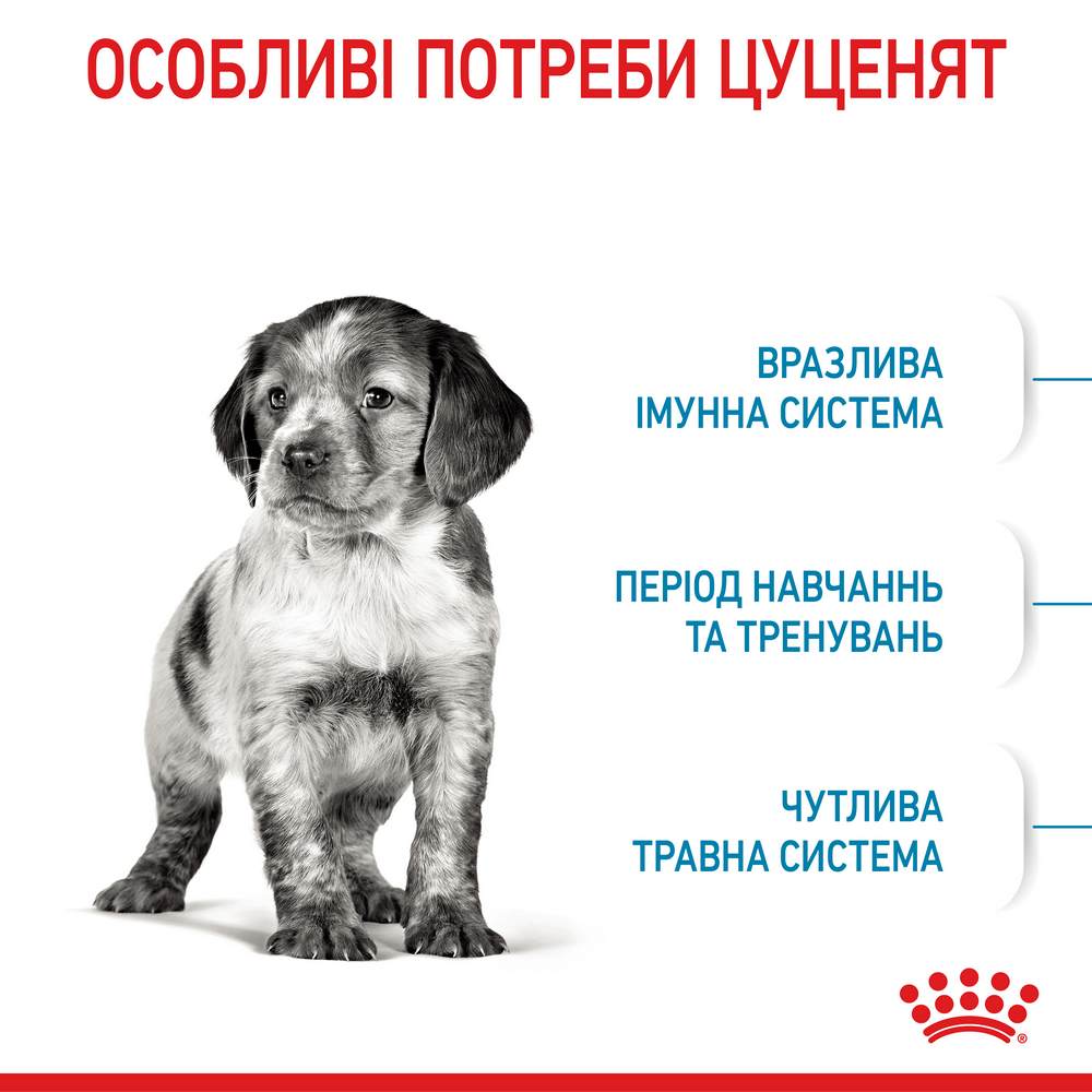 Royal Canin Medium Puppy корм для цуценят середніх порід від 2 до 12 місяців - 4 кг