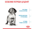 Royal Canin Medium Puppy корм для цуценят середніх порід від 2 до 12 місяців - 4 кг