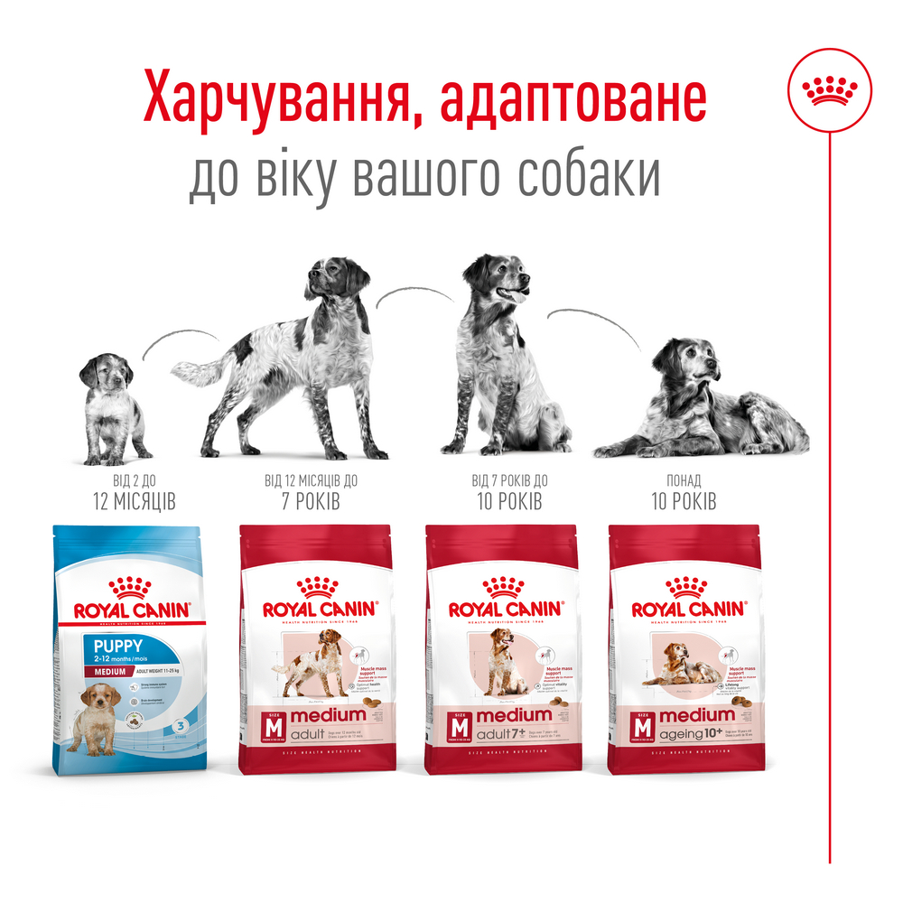 Royal Canin Medium Adult корм для собак середніх порід - 4 кг