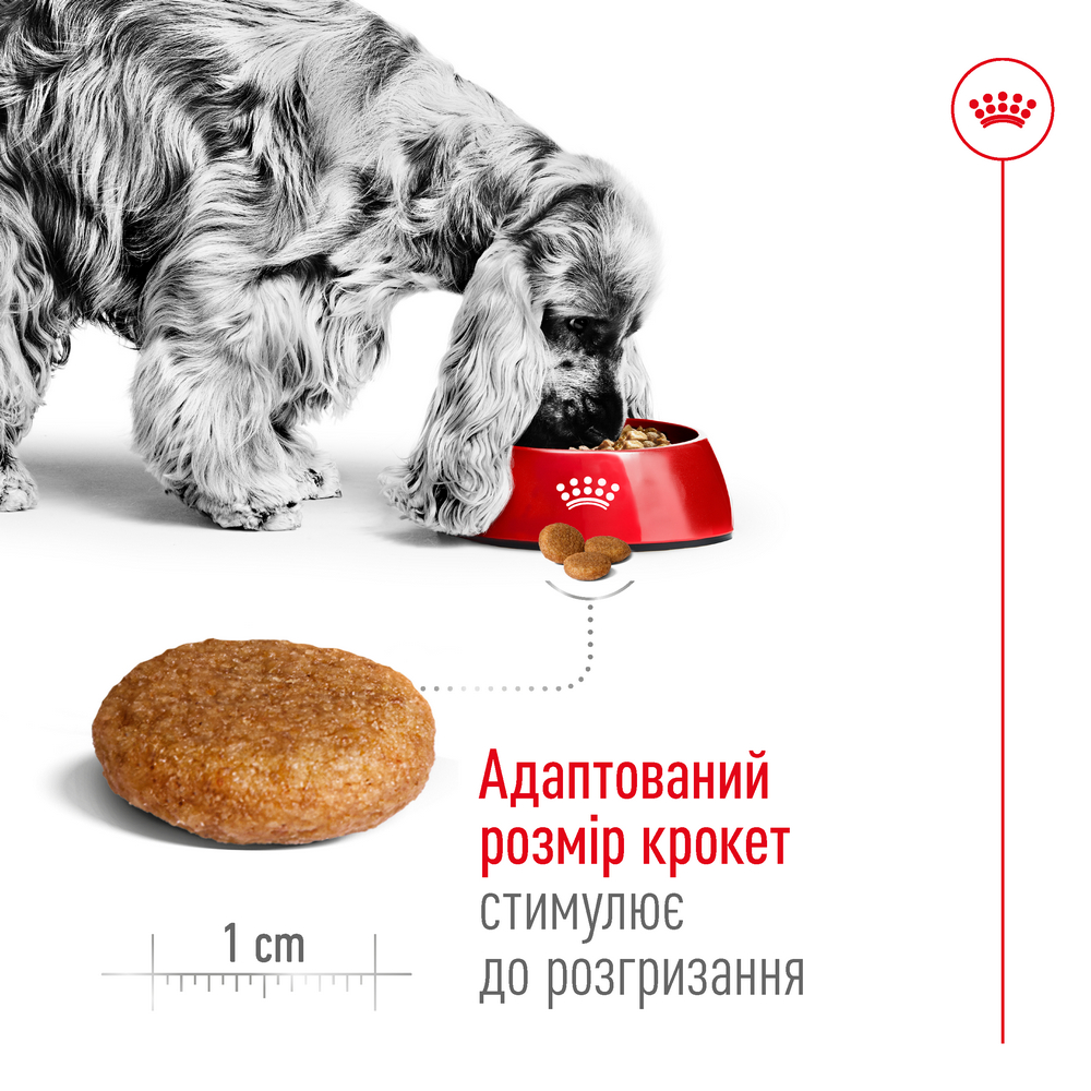 Royal Canin Medium Adult корм для собак середніх порід - 4 кг