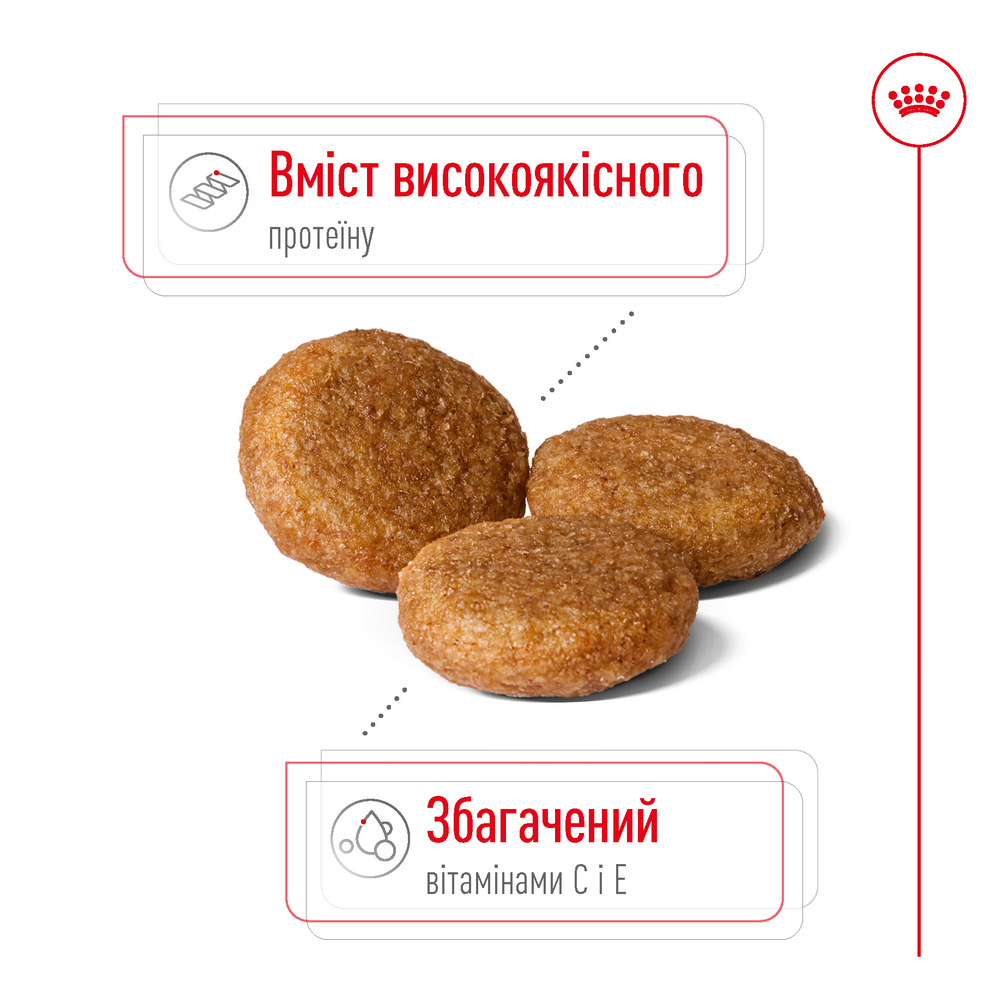Royal Canin Medium Adult корм для собак середніх порід - 4 кг