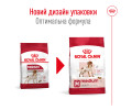 Royal Canin Medium Adult корм для собак середніх порід - 15 кг