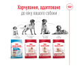 Royal Canin Medium Adult корм для собак середніх порід - 15 кг