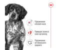 Royal Canin Medium Adult корм для собак середніх порід - 15 кг