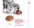 Royal Canin Medium Adult 7+ корм для літніх собак середніх порід - 4 кг