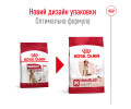 Royal Canin Medium Adult 7+ корм для літніх собак середніх порід - 15 кг