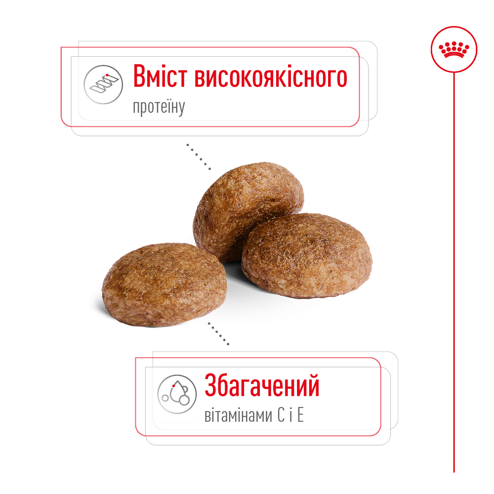 Royal Canin Medium Adult 7+ корм для літніх собак середніх порід - 15 кг