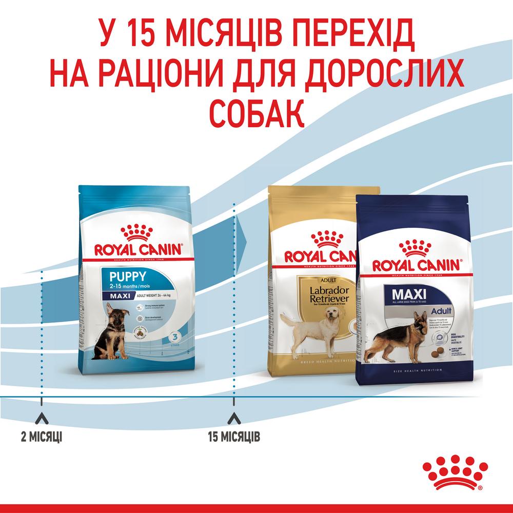 Royal Canin Maxi Puppy корм для цуценят великих порід від 2 до 15 місяців - 1 кг