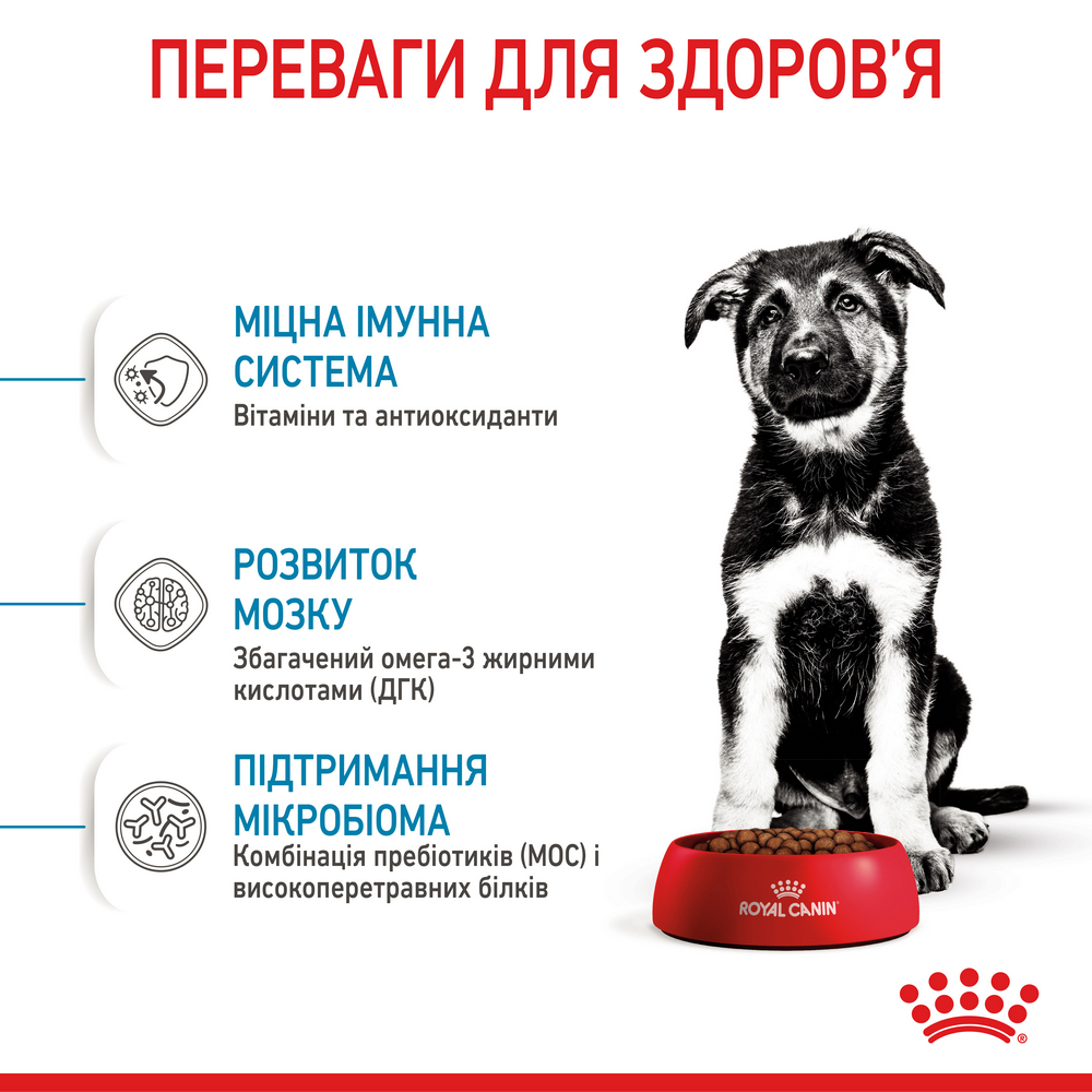 Royal Canin Maxi Puppy корм для цуценят великих порід від 2 до 15 місяців - 1 кг
