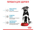 Royal Canin Maxi Puppy корм для цуценят великих порід від 2 до 15 місяців - 4 кг