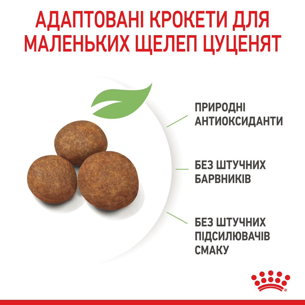 Royal Canin Maxi Puppy корм для цуценят великих порід від 2 до 15 місяців - 15 кг