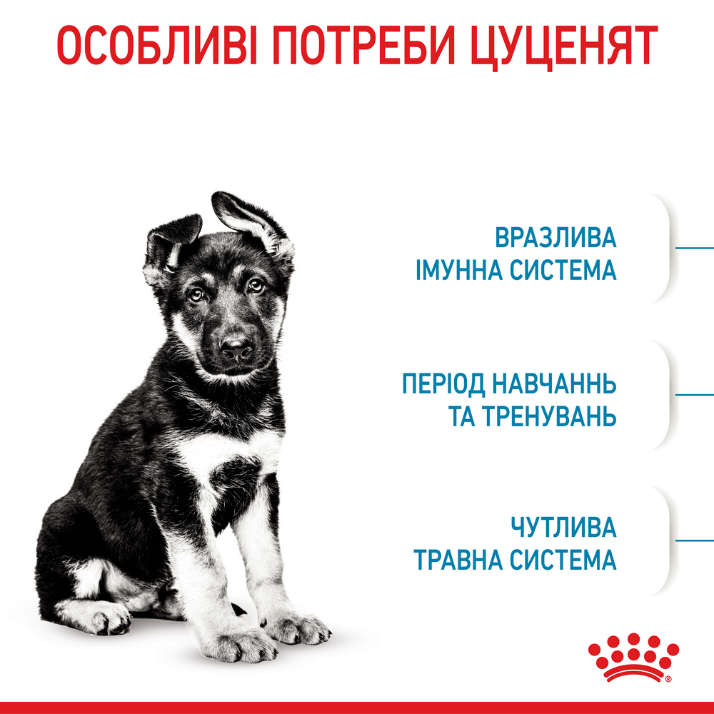 Royal Canin Maxi Puppy корм для цуценят великих порід від 2 до 15 місяців - 15 кг