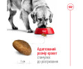 Royal Canin Maxi Adult корм для собак великих порід - 4 кг