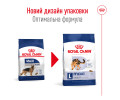 Royal Canin Maxi Adult корм для собак великих порід - 15 кг
