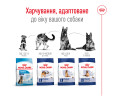 Royal Canin Maxi Adult корм для собак великих порід - 15 кг