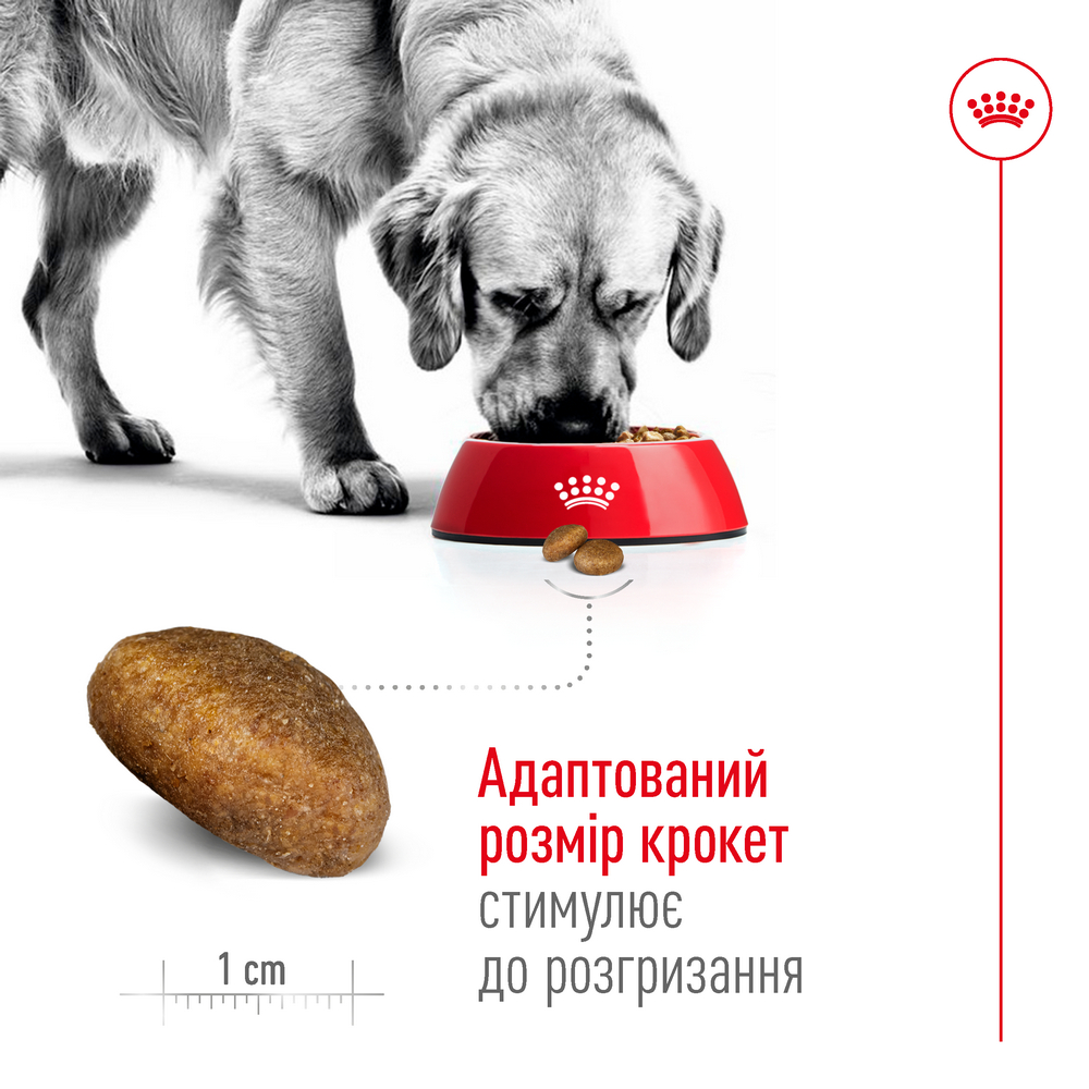 Royal Canin Maxi Adult корм для собак великих порід - 15 кг