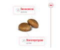 Royal Canin Maxi Adult корм для собак великих порід - 15 кг