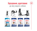 Royal Canin Maxi Adult 5+ корм для собак великих порід від 5 років - 15 кг