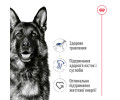 Royal Canin Maxi Adult 5+ корм для собак великих порід від 5 років - 15 кг