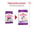 Royal Canin Giant Adult корм для собак великих та гігантських порід - 15 кг