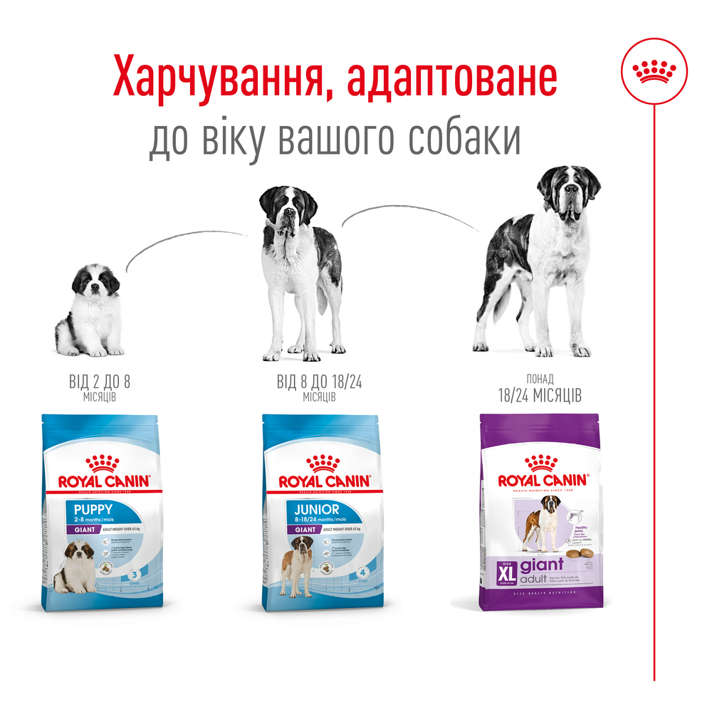 Royal Canin Giant Adult корм для собак великих та гігантських порід - 15 кг