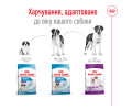 Royal Canin Giant Adult корм для собак великих та гігантських порід - 15 кг
