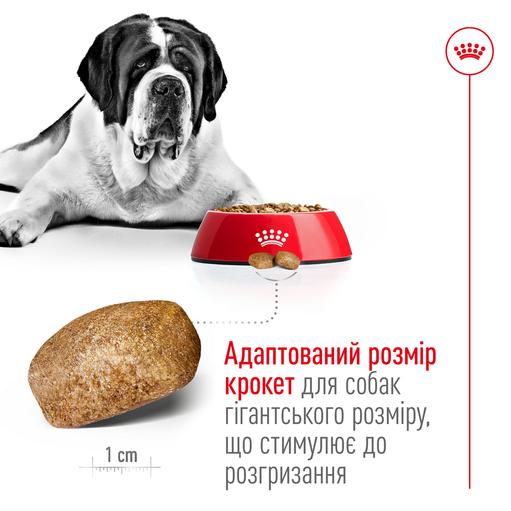 Royal Canin Giant Adult корм для собак великих та гігантських порід - 15 кг