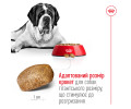 Royal Canin Giant Adult корм для собак великих та гігантських порід - 15 кг