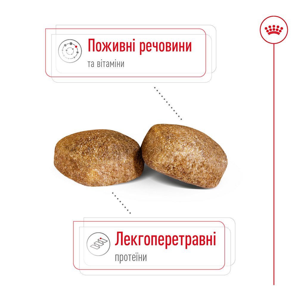 Royal Canin Giant Adult корм для собак великих та гігантських порід - 15 кг