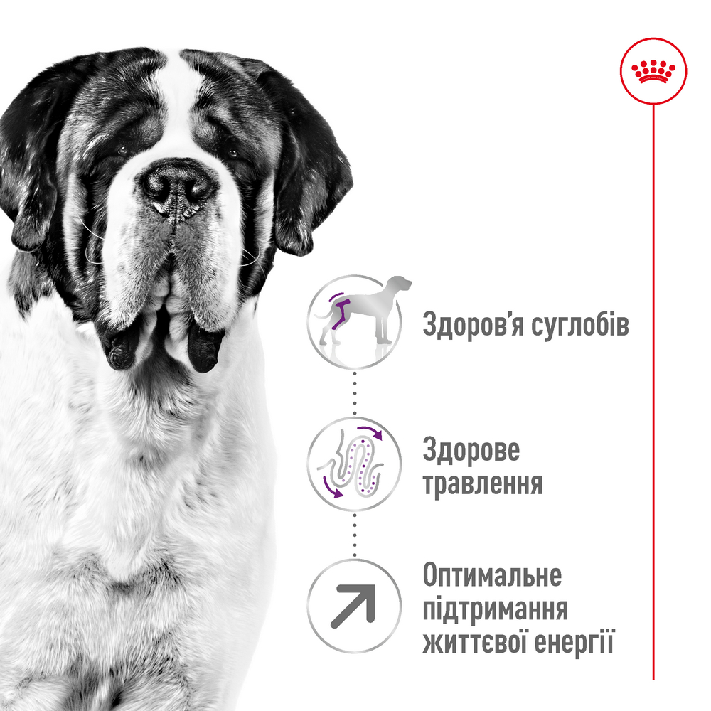 Royal Canin Giant Adult корм для собак великих та гігантських порід - 15 кг