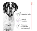 Royal Canin Giant Adult корм для собак великих та гігантських порід - 15 кг