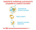 Royal Canin Yorkshire Terrier Puppy корм для цуценят породи йоркширський тер'єр - 500 г