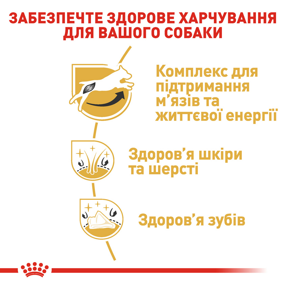 Royal Canin French Bulldog Puppy корм для цуценят породи французький бульдог - 1 кг
