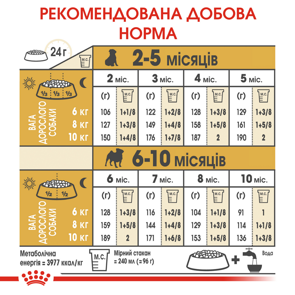 Royal Canin Pug Puppy корм для цуценят породи мопс - 1.5 кг